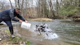 PA Fish and Boat Commission continues pre-season trout stocking