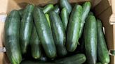 Cucumbers shipped to 14 states recalled over Salmonella concerns