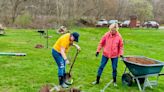 Honesdale Rotary Club plants 12 trees at Apple Grove Park after old trees felled