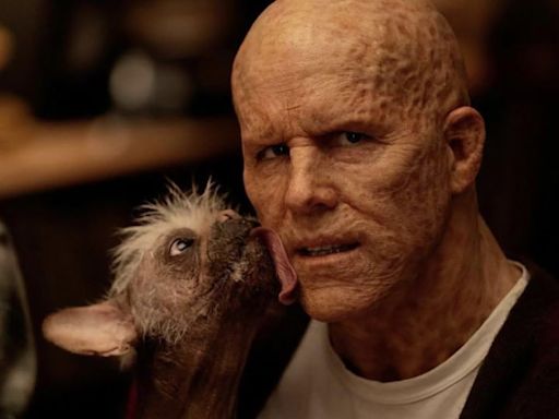 ‘Deadpool & Wolverine’ will feature a canine character voted Britain’s ‘ugliest dog,’ says Ryan Reynolds