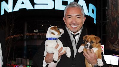 Cesar Millan Reveals the Main Pillars for Raising a Well-Behaved Puppy