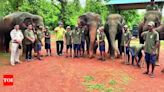 Just opened in an Odisha wildlife sanctuary, a restaurant for jumbos - Times of India
