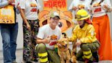 La historia de Chaupi, el perro que sobrevivió a un incendio forestal y se convirtió en un ícono de Quito