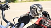 La forma adecuada de transportar a tu mascota en moto y en coche este verano, según la DGT