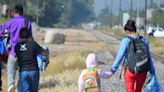 La política migratoria y sus retos en las Américas - Especiales | Publicaciones - Prensa Latina