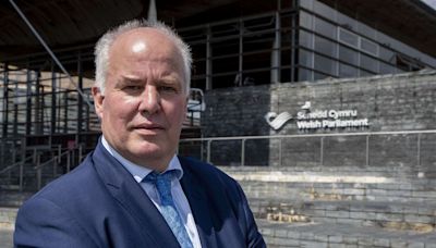 Calls for snap election in Wales ‘hot-headed’, says Tory leader