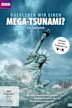 Could We Survive a Mega-Tsunami?