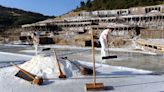 El Valle Salado de Añana arranca la cosecha tardía de la sal: "Necesitamos dos días de calor seguidos porque la lluvia diluye la salmuera"