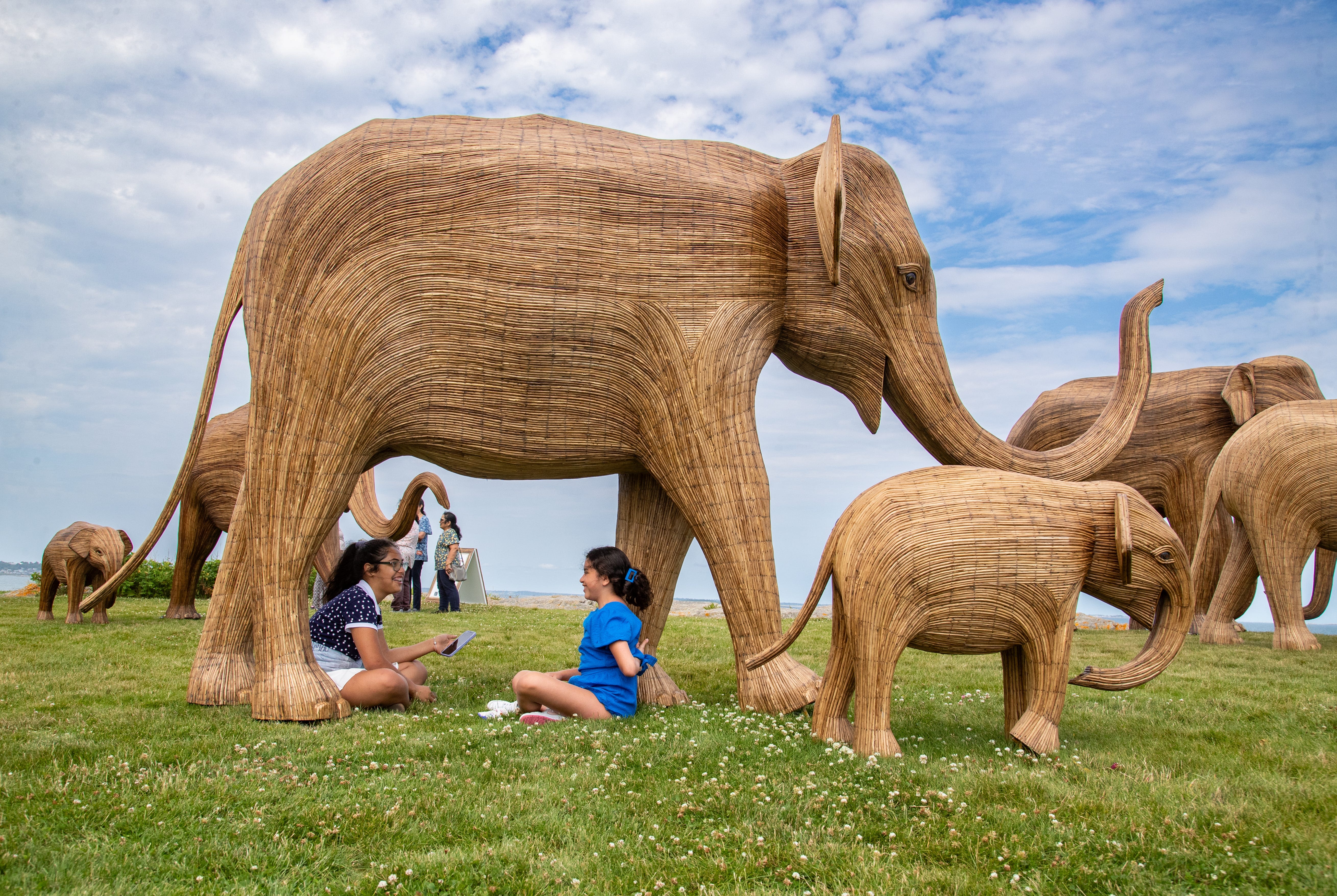 Large crowds welcome Great Elephant Migration statues during Newport stop