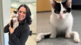 Happy ending: Gumby, kitten with deformed legs, finds forever home with Boston radio personality