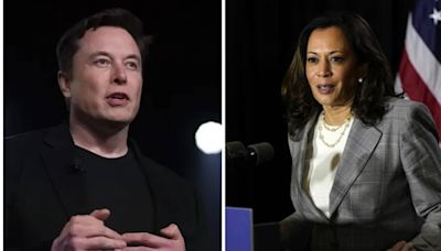 Elon Musk brutally rebukes Kamala Harris for 'lying' about Donald Trump: ‘When will politicians…’