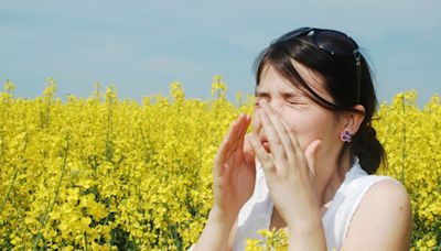 Pollen is getting worse, but you can make things better with these tips from an allergist