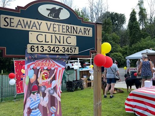 Seaway Veterinary Clinic hosts Canine Carnival to fundraise for local rescue shelter