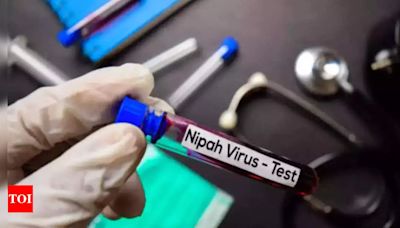 Nipah infection confirmed in 14-year-old boy in Kerala; 214 under observation | Kozhikode News - Times of India