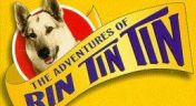 3. Rin Tin Tin and the Wild Stallion