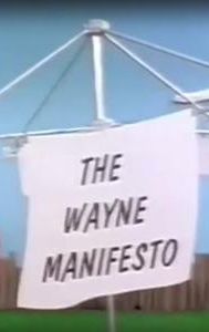 The Wayne Manifesto