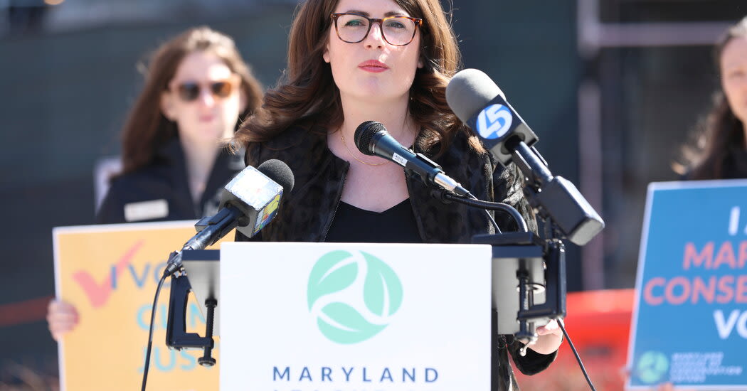 Sarah Elfreth, Maryland’s Youngest Female State Senator, Wins House Primary
