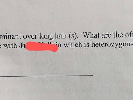 Examen final de Biología en preparatoria de Sacramento incluye preguntas racistas