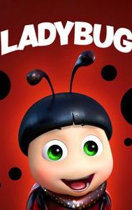 The Ladybug