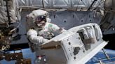 Astronauts may experience immune system problems during spaceflight