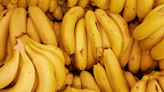 Salud: Estos son los mitos de comer plátano antes de dormir