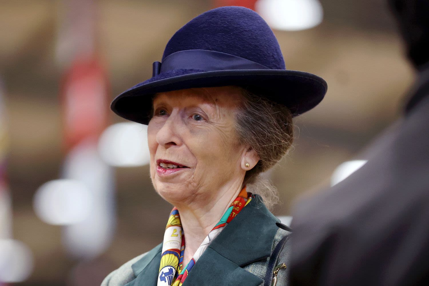 Princess Anne Says She 'Can't Remember a Single Thing' About Horse Incident