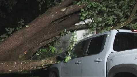 Confirmed microburst damages homes, cars and topples 150 trees in NH