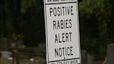 Rabies alert issued for Seminole County after cat tests positive, health officials say