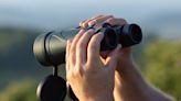 Celestron Nature DX 12x56 binoculars review