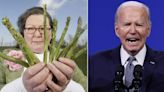 Asparagus fortune teller bounces back from Euros error with Joe Biden prediction