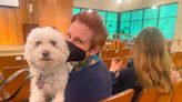 A church blesses its animals, in all their shaggy goodness