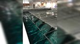 Water treatment plant gets significant upgrades