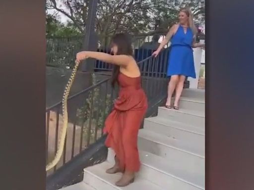 Woman wrangles loose snake at Arizona wedding