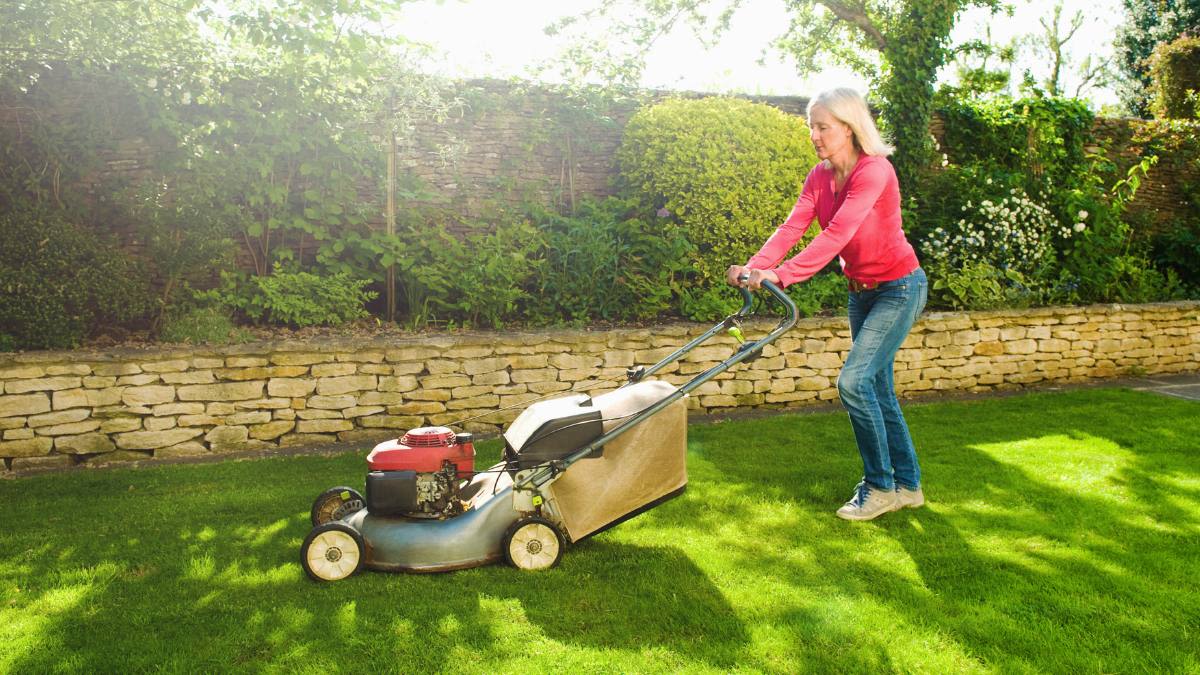 How to Sharpen Your Lawn Mower Blades on Your Own to Save Time And Money: Pro Landscapers Weigh In