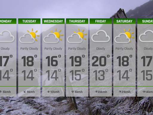 7-Day Weather Forecast: July 29th - August 4th