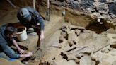 Hombre encuentra tres esqueletos de mamut en su bodega de vinos | Teletica