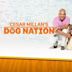 Cesar Millan's Dog Nation