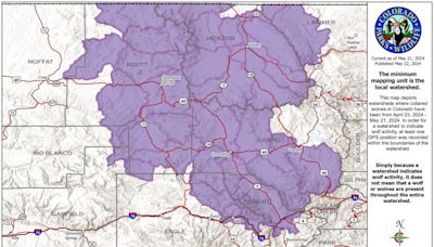 Latest Colorado wolf map shows more activity in Summit County