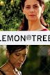 Lemon Tree (2008 film)
