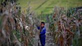 North Korea paper calls outside aid 'poisoned candy', urges self-reliance