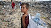 Waste crisis deepens misery in Gaza as war rages