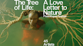 Meet the artists selected from our global open call ‘Tree of Life: A Love Letter to Nature’