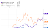 Here's How Much Money You'd Have if You Invested $10,000 Into the Ark Innovation ETF's Top 5 Stocks in 2019