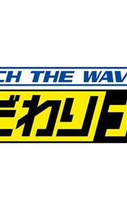 Catch the Wave Kodawari Navi