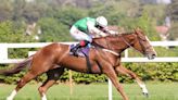 Two of racing's most powerful operations set to combine on Saturday as Lope De Lilas gears up for Classic bid in Irish Oaks