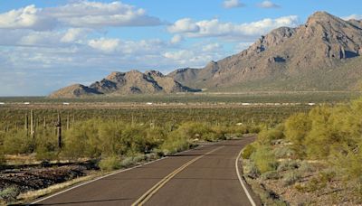 Emergency call leads Arizona officials to escaped reptile crossing busy highway