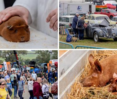 43 Pictures as thousands flock to 244th County Durham country show