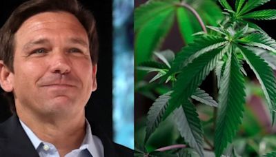 Ron DeSantis And GOP Stalwart Feud Over Cannabis Legalization, Trump; Florida's Top Cops Also Weigh In