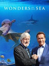 Wonders of the Sea