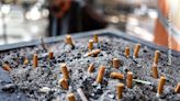 Any plan to make smoking obsolete is the right step